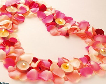 Love, life HD wallpaper