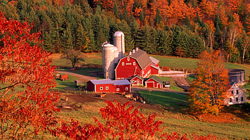 Northern Vermont in autumn, Fall HD wallpaper