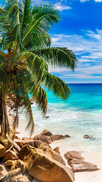 Earth beach, Natural wonder, Pristine coastline, Sandy shores HD phone wallpaper