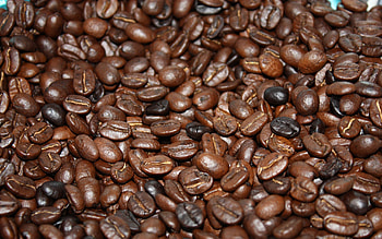 Food, Coffee, Grains, Grain, Fried HD wallpaper