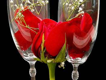 CRYSTAL REDS, champagne, roses, reds, long stem rose, weddings, table decorations, rosebuds, glasses, flowers, wine HD wallpaper