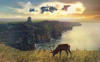 Deer Fantasy Nature Manipulation, deer, fantasy, artist, artwork, digital-art, manipulation HD wallpaper