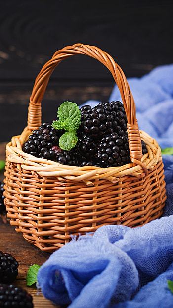 Blackberry, Delicious food, Berry delights, Perfectly ripe HD phone wallpaper