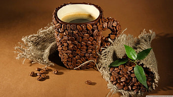 Cup of coffee beans, softness, graphy, , coffee beans, cup, abstract, coffee, , beans, drink HD wallpaper