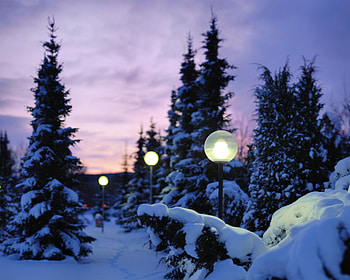 Winter, Nature, Snow, Lights, Lanterns, Evening HD wallpaper