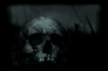 MOONLIGHT SHADOWS by nykilemaitre666, moonlight, moon, skull, horror, dark HD wallpaper