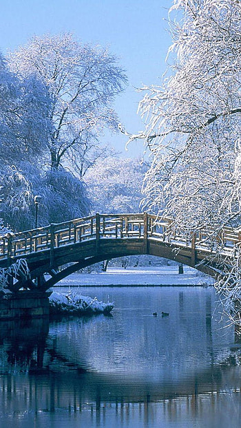 Romantic, love, romance HD phone wallpaper