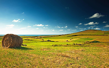 Landscapes Skylines Fields Farms Background HD wallpaper