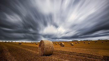 Hay Rolls, farm, hay, rolls, field HD wallpaper