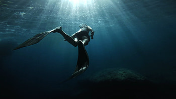diving, Sports, Seeking Light, Exploring Depths HD wallpaper