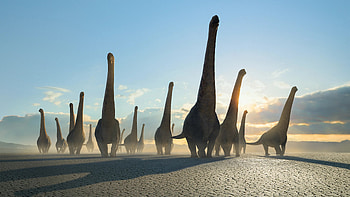 Prehistoric Planet: Sauropod Dawn, Prehistoric Planet HD wallpaper