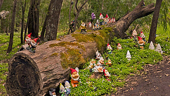 Gnomesville, Microsoft , Hub HD wallpaper