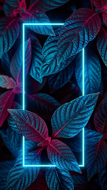 Paper walls neon plants. , , Galaxy , Cool Neon HD phone wallpaper