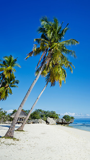 Philippines beaches, Stunning , Michelle Sellers, Tropical paradise HD phone wallpaper