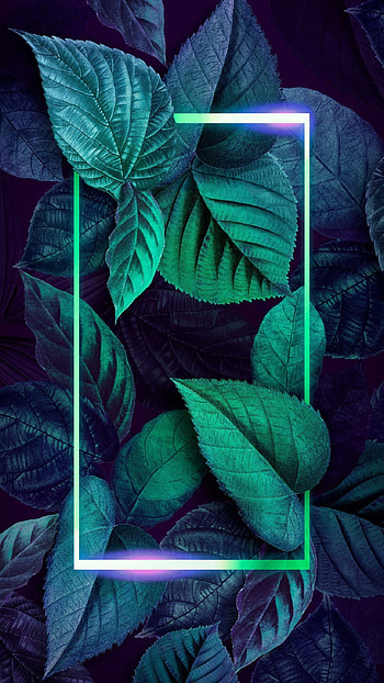 Emily Morrigan on gadget. Neon , Nature , , Neon Plants HD phone wallpaper