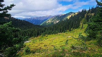 Okanogan-Wenatchee National Forest, Washington, clouds, landscape, trees, sky, mountains HD wallpaper