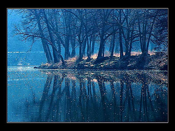 Blue on blue, blue, trees, misty, water, reflections HD wallpaper