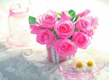 Still Life, graphy, pink roses, refelction, beauty, reflection, petals, flower, thorn, roses, vase, pink rose, romance, beautiful, pink, pretty, love, with love, nature, romantic, flowers, lovely, for you HD wallpaper