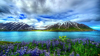 Bluebonnet, Mountain lake, , Stunning sky HD wallpaper