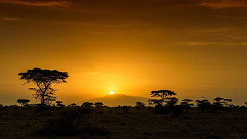 African savanna, , Breathtaking views, Wildlife sanctuary HD wallpaper