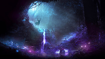 Art, Shining, Forest, Cave, Deer HD wallpaper