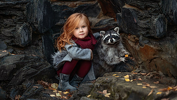 Redhead Cute Little Girl Is Sitting With Raccoon Wearing Grey Coat In Rock Background Cute HD wallpaper