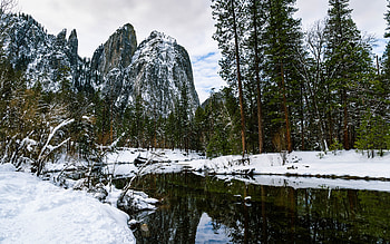 Winter Forest, winter, forest, snow, lake HD wallpaper