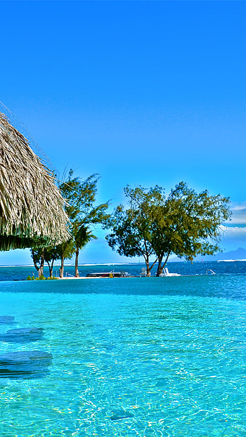 Tahiti, French Polynesia, Windows 10 spotlight , Exotic destinations HD phone wallpaper