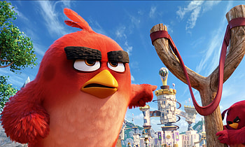 The Angry Birds Movie , angry-birds, birds, movies, animated-movies, 2016-movies, the-angry-birds-movie HD wallpaper