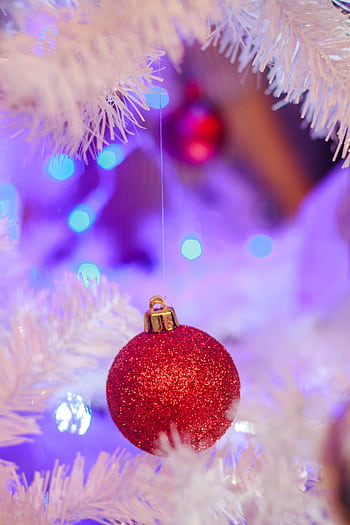 Close-up of a sparkling red Christmas ornament hanging on a white tree with festive lights. HD phone wallpaper