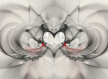 Butterfly heart, hearts, love HD wallpaper