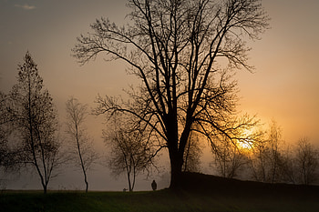 Nature, Trees, Sunset, Sky, Sun, Human, Person HD wallpaper