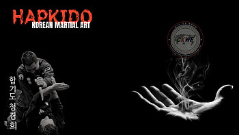 Hapkido, Martial Art HD wallpaper