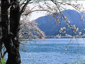 feel spring, nature HD wallpaper