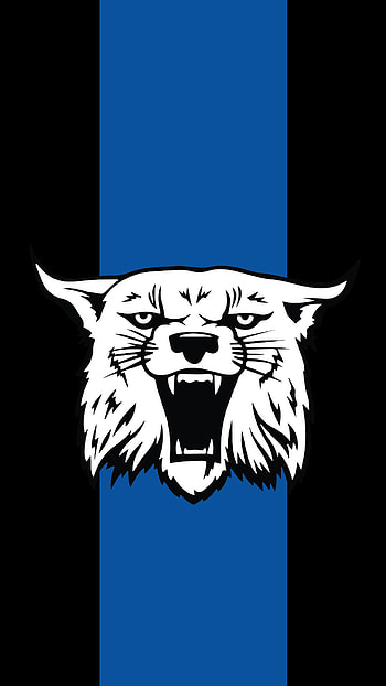 Kentucky Wildcats, , Samantha Sellers HD phone wallpaper