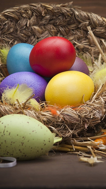 Easter, Nest HD phone wallpaper