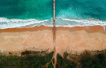 Breathtaking aerial shot of a turquoise ocean meeting golden sandy beach with lush greenery. HD wallpaper