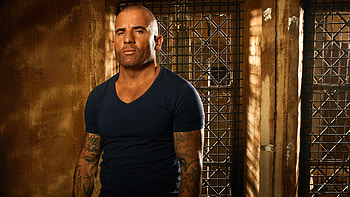 Lincoln Burrows Prison Break Season 5, prison-break, tv-shows HD wallpaper