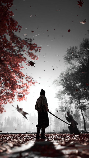 Samurai, atmosphere, sky, japan, katana HD phone wallpaper