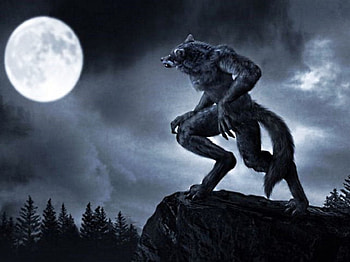 Werewolf at full moon, existence, temporarely, moonlight, bright HD wallpaper