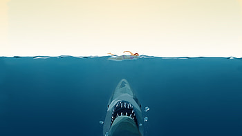 Shark Minimalism Art, shark, minimalism, artist HD wallpaper