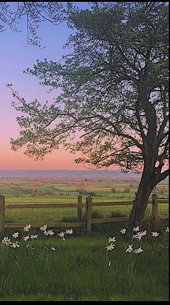 Cottage core, atmosphere, sky HD phone wallpaper
