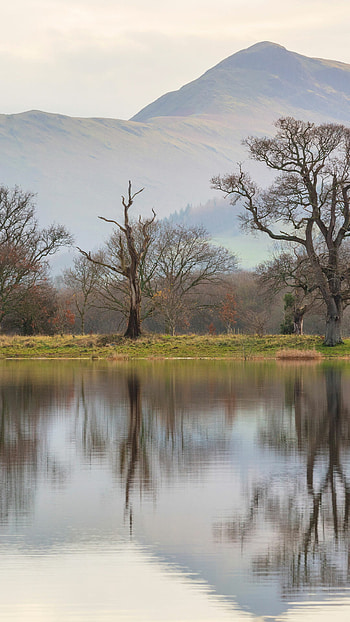 Bassenthwaite Lake, Tranquil setting, Natural paradise, Scenic beauty HD phone wallpaper