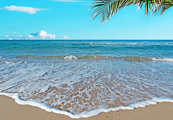 Tropical Beach, sea, sand, palm, tropical, beach, vacation, summer, emerald, ocean HD wallpaper