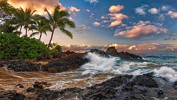 Maui, Hawaii, palms, sea, waves, clouds, sky, rocks, sunset, usa HD wallpaper