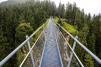 Nature, Trees, Forest, Bridge HD wallpaper