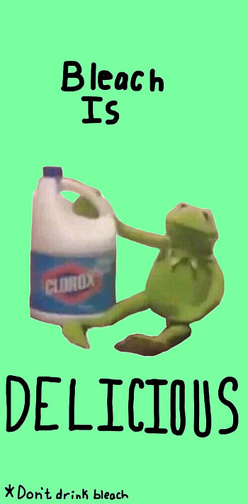 Kermit, meme HD phone wallpaper