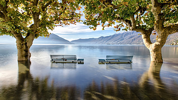 Flood at the Lago Maggiore, Switzerland, benches, trees, mountains, lake, alps HD wallpaper