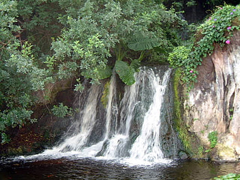 The calm, plants, green, fall, waterfall, water, rocks HD wallpaper