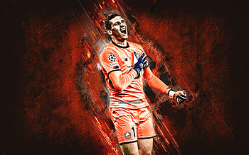 Ivo Grbic, Lille OSC, Croatian footballer, goalkeeper, Ligue 1, orange stone background, France, football, grunge art HD wallpaper